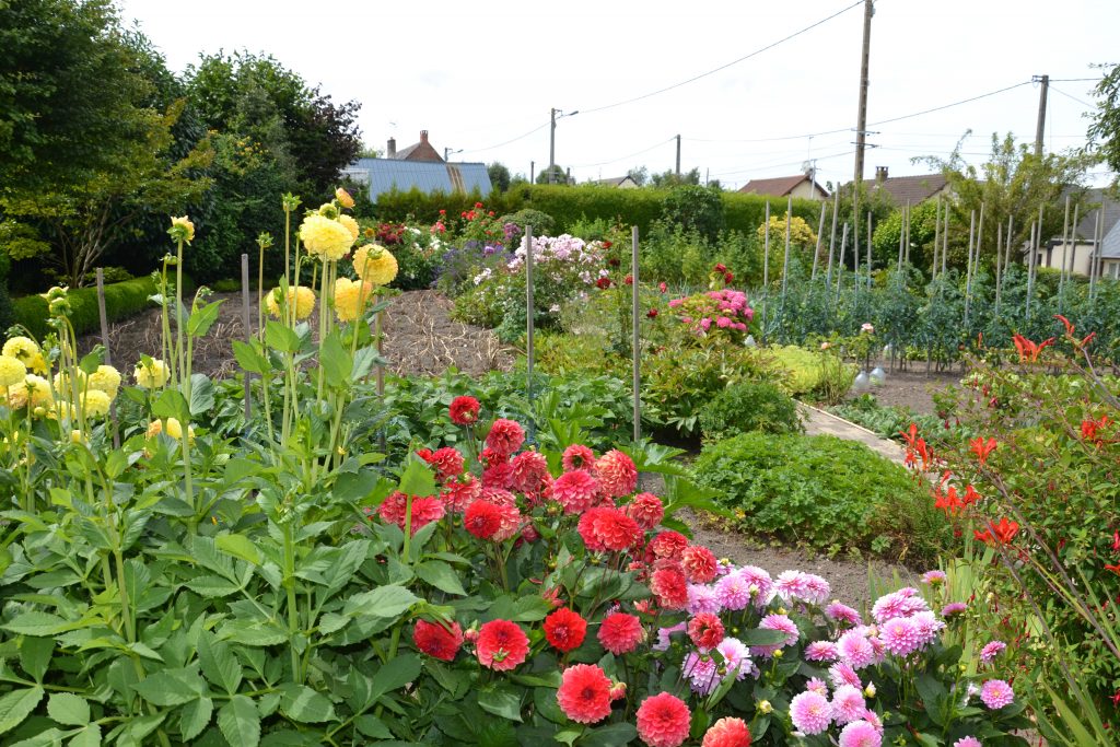 Les avantages du potager fleuri - Société d'horticulture de Touraine