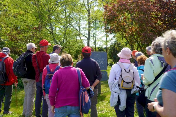 Explications sur la culture de la vigne