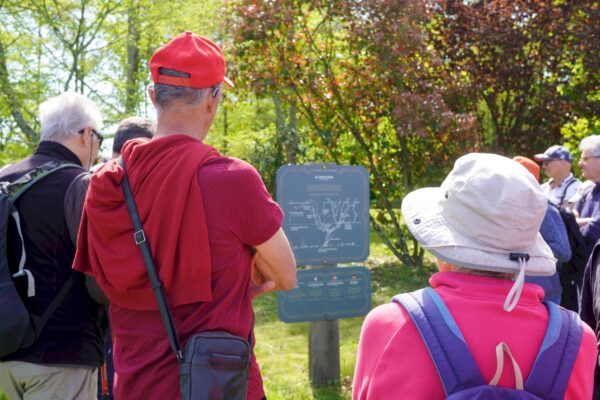 Explications sur la culture de la vigne