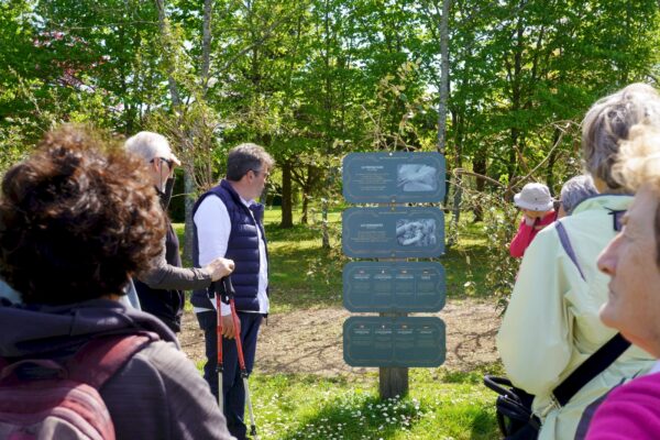 Explications sur la culture