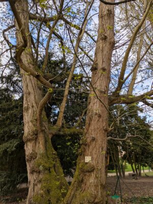 PXL_20250403_084824655