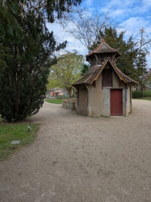 PXL_20250403_084853016