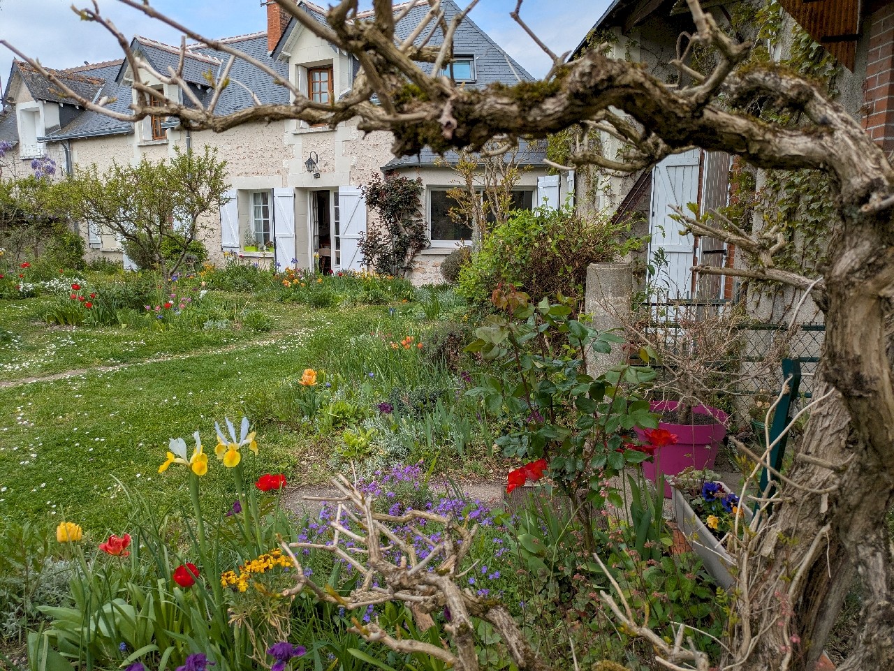 maisons fleuries Val de l'Indre avril 2025
