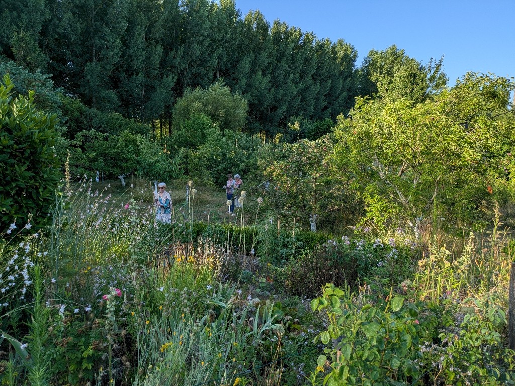 PXL_20250711_061924100