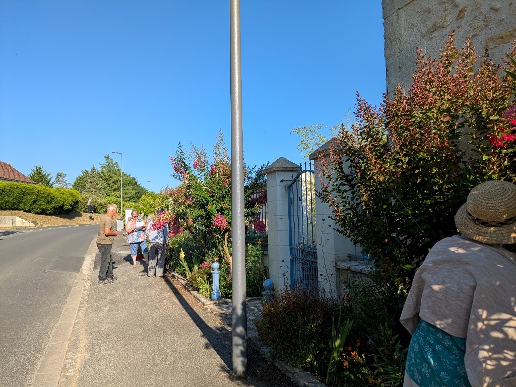 PXL_20250711_065332479