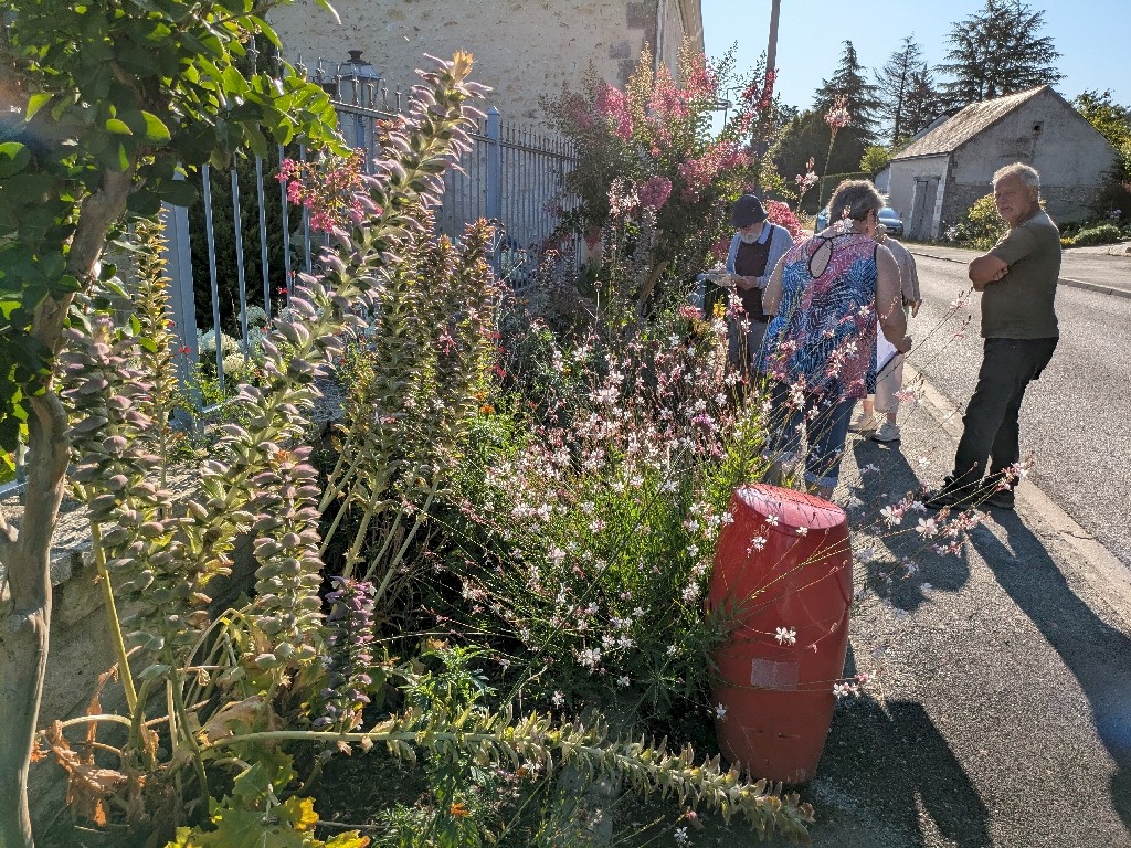 PXL_20250711_065412421