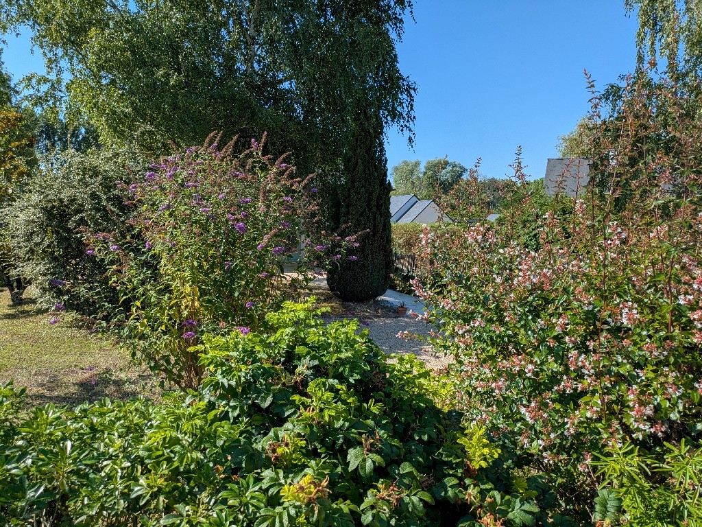 PXL_20250711_081736102