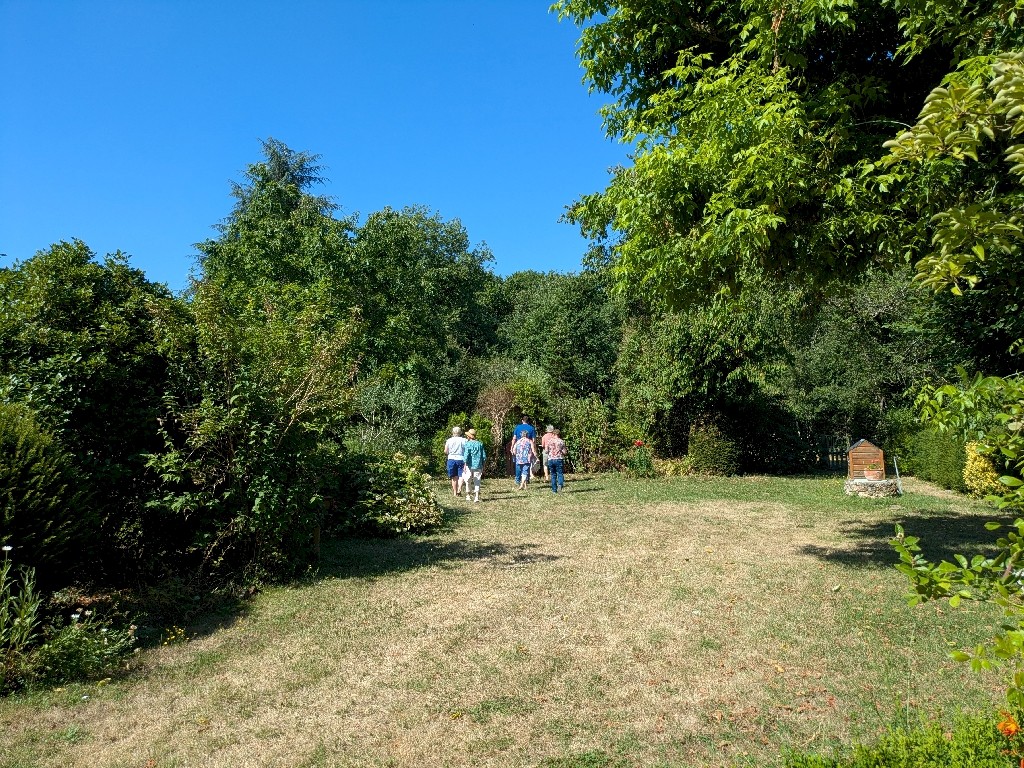 PXL_20250711_084809997