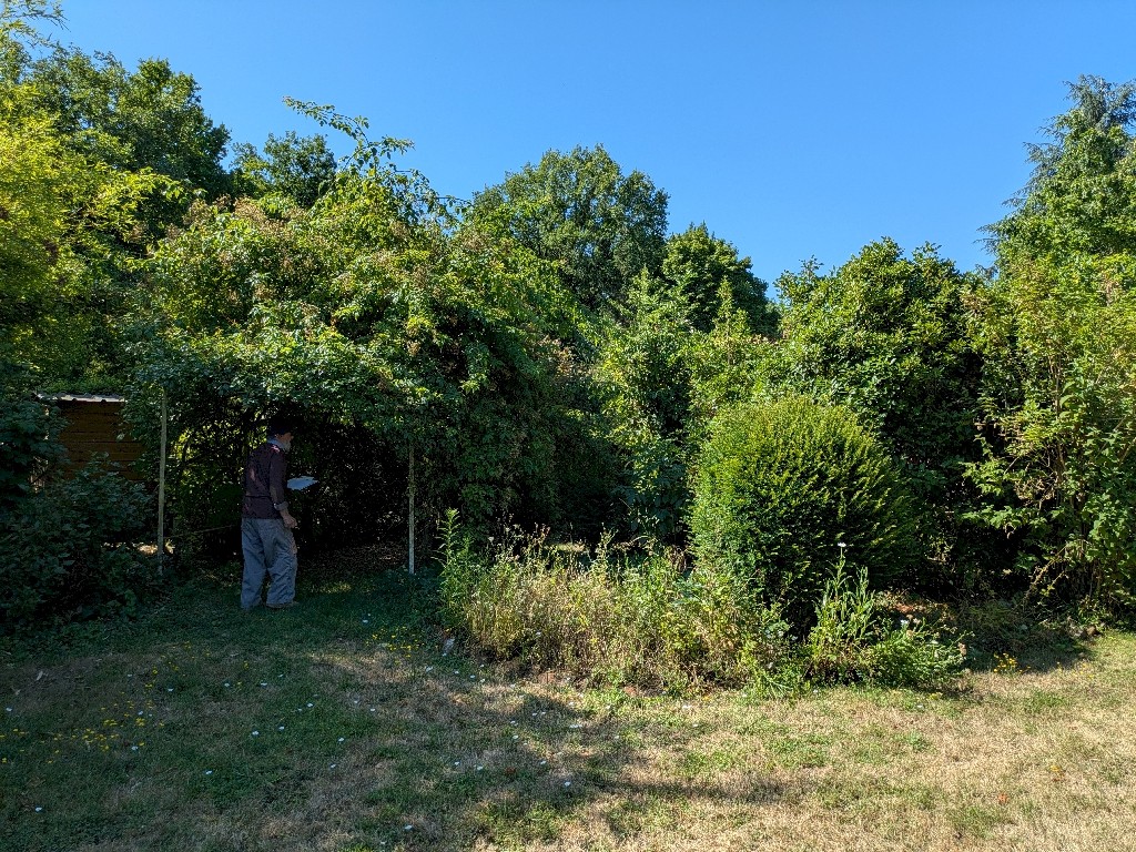 PXL_20250711_084812519