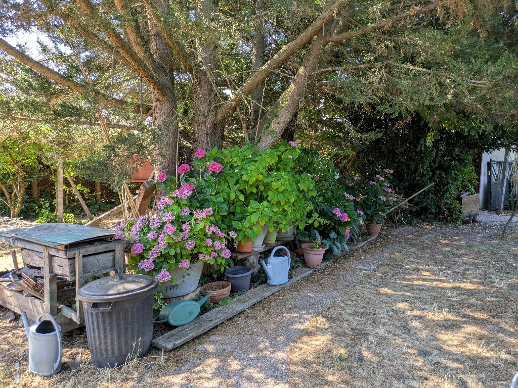 PXL_20250711_092716802