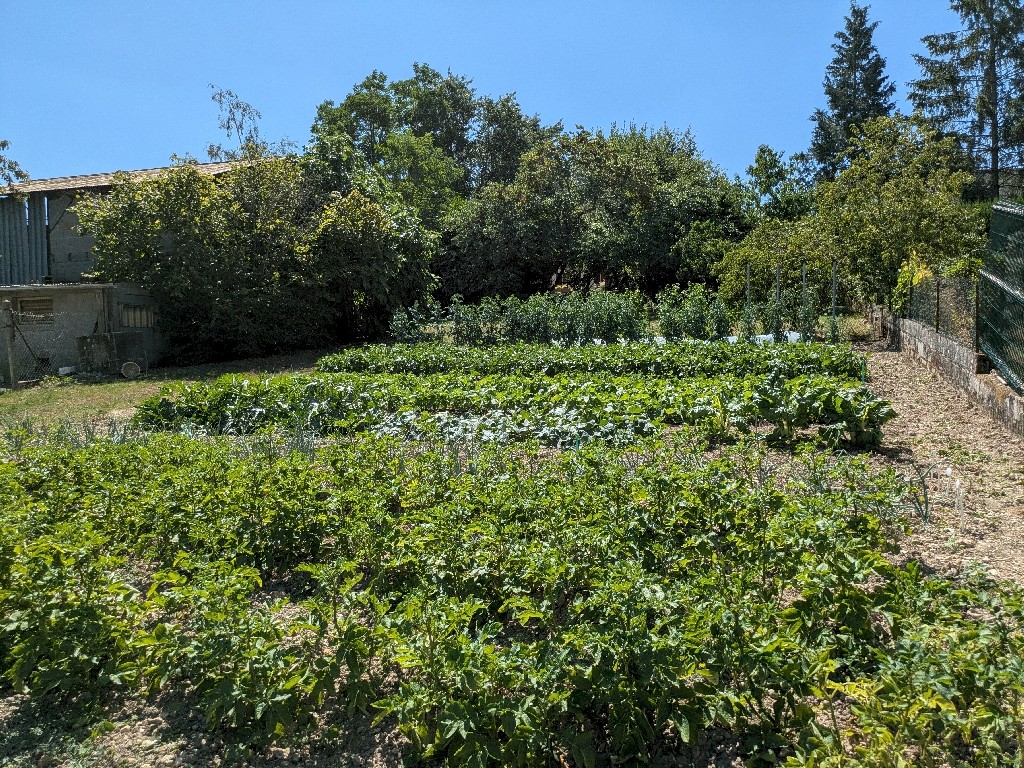 PXL_20250711_102545783