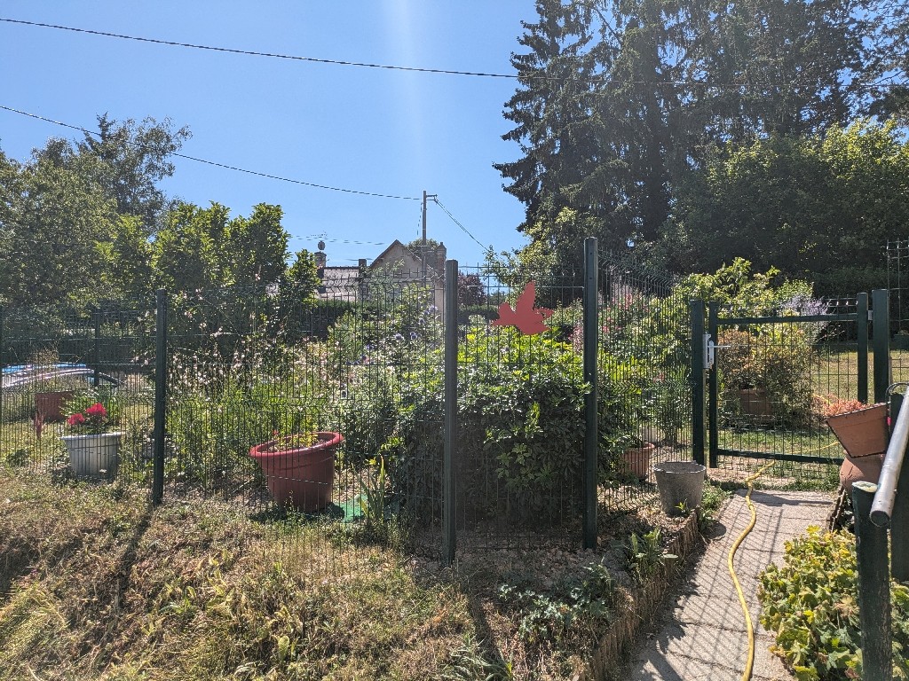 PXL_20250711_102753427