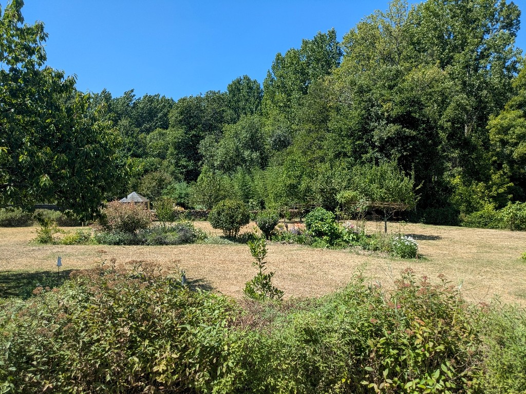 PXL_20250711_104011933