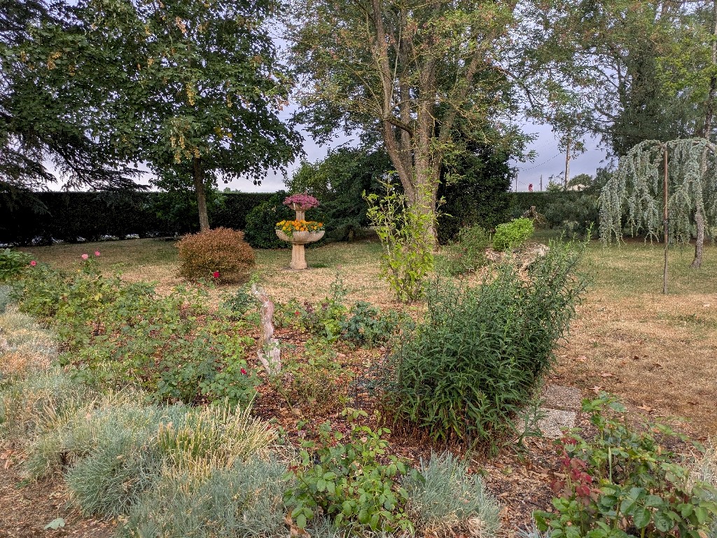 PXL_20250721_070857984