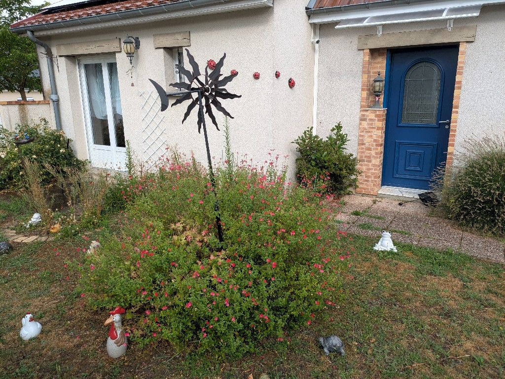 PXL_20250721_072155074