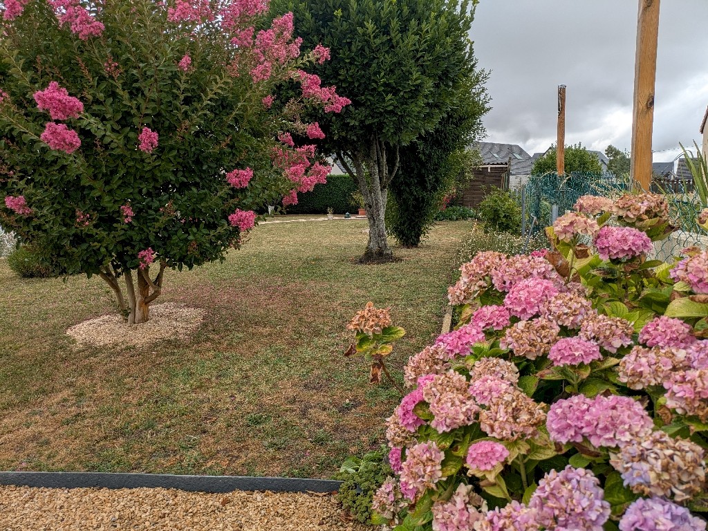 PXL_20250721_073014617