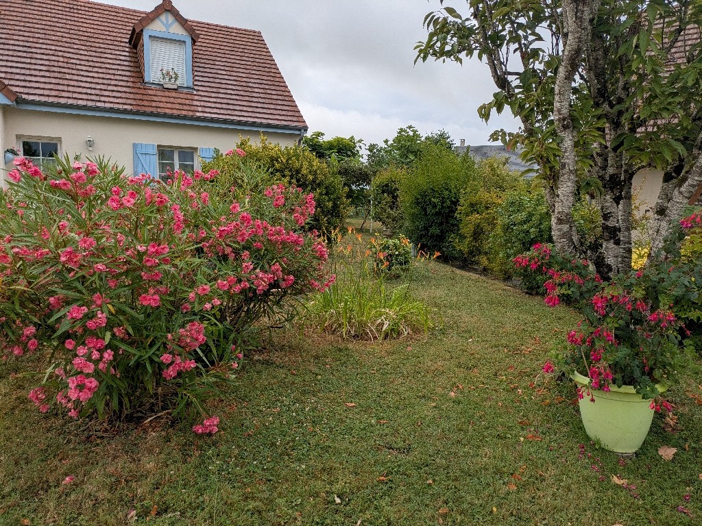 PXL_20250721_073539187
