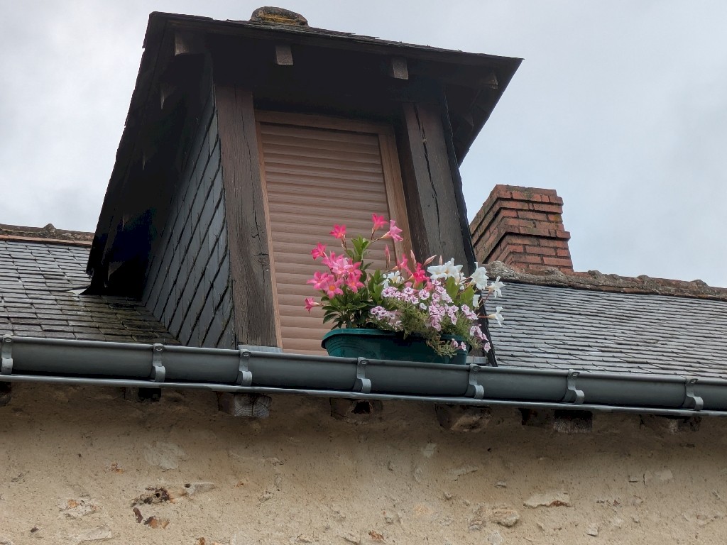 PXL_20250721_080202293