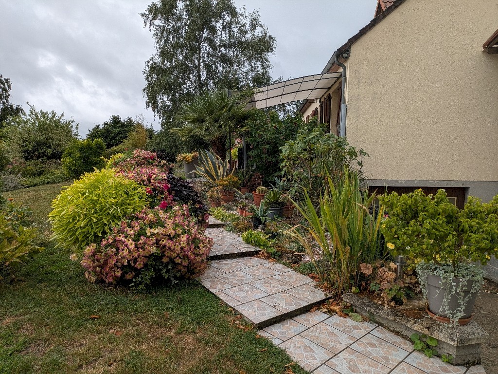 PXL_20250721_082837349