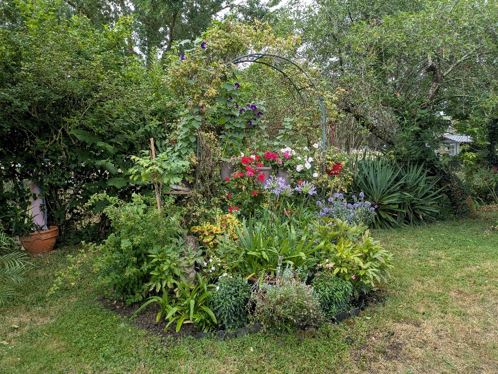 PXL_20250721_090509669
