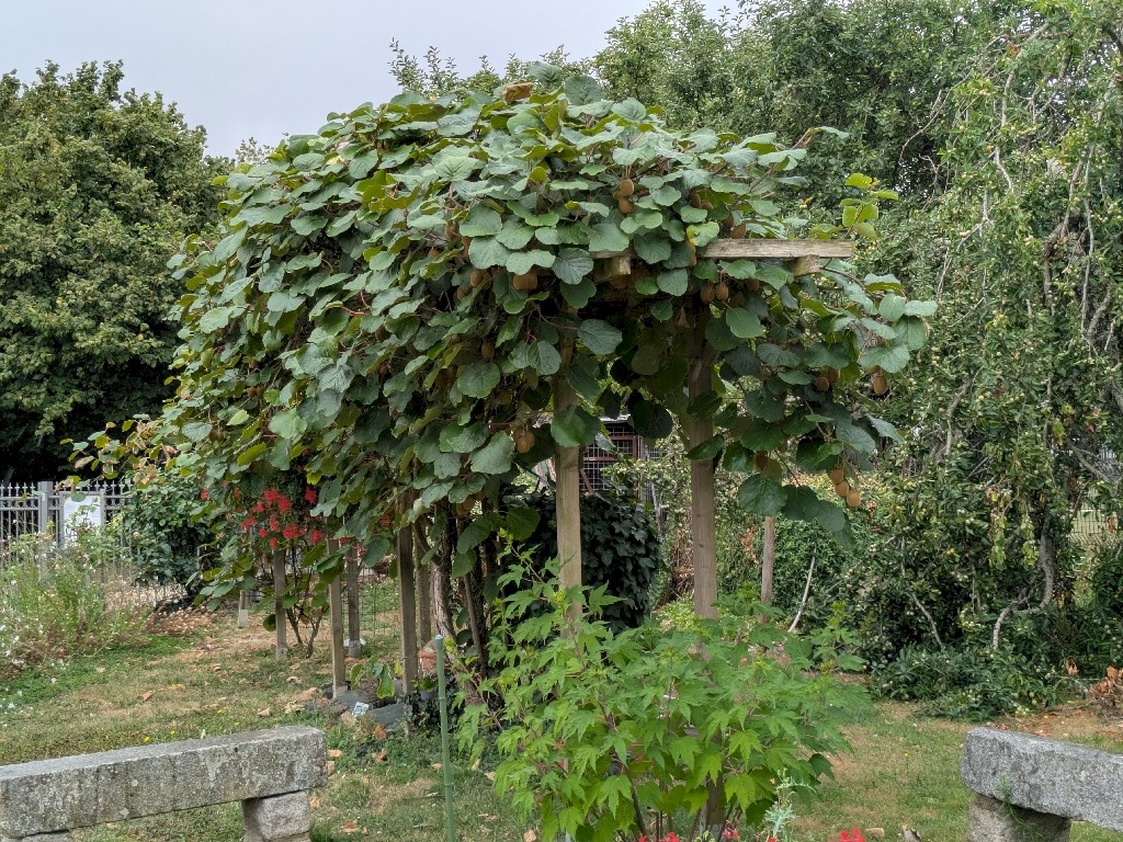 PXL_20250721_092110444