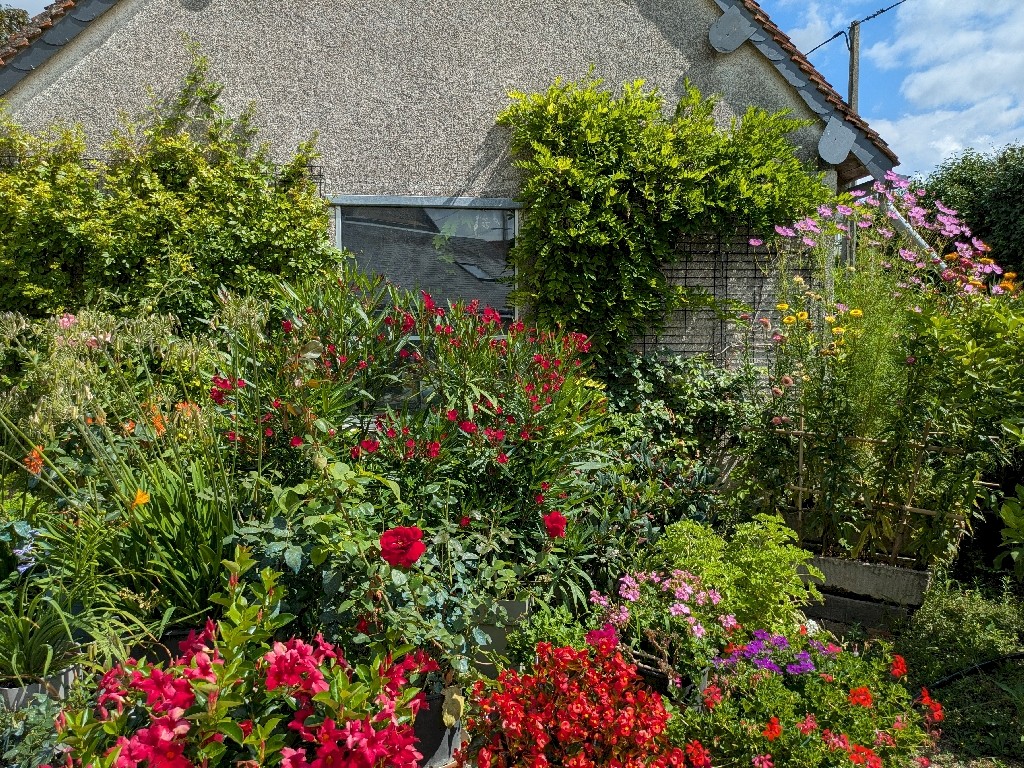 PXL_20250728_103537404
