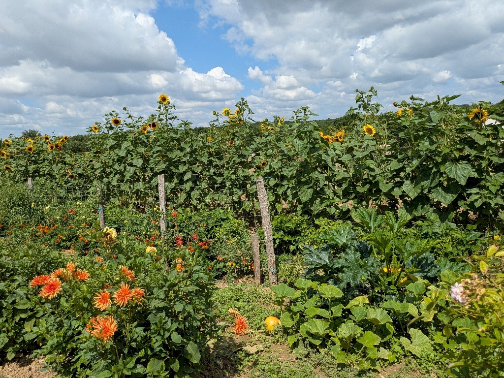 PXL_20250728_103707359