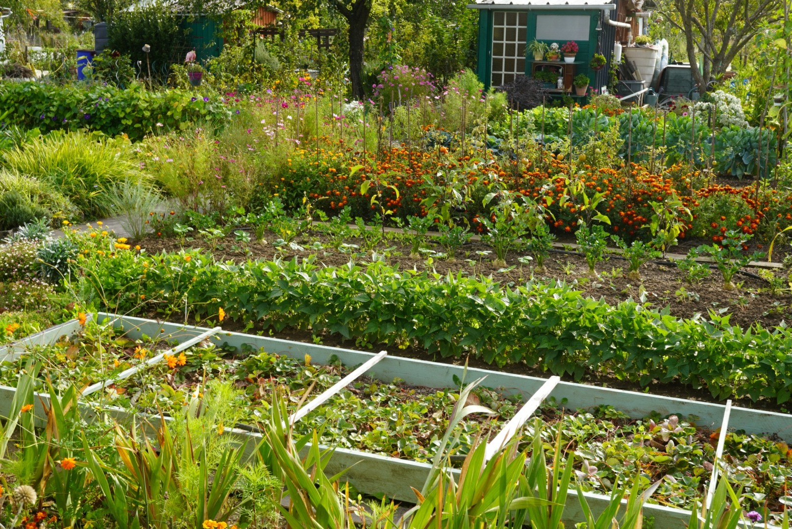 Visite Jury "jardins familiaux "de Tours Métropole