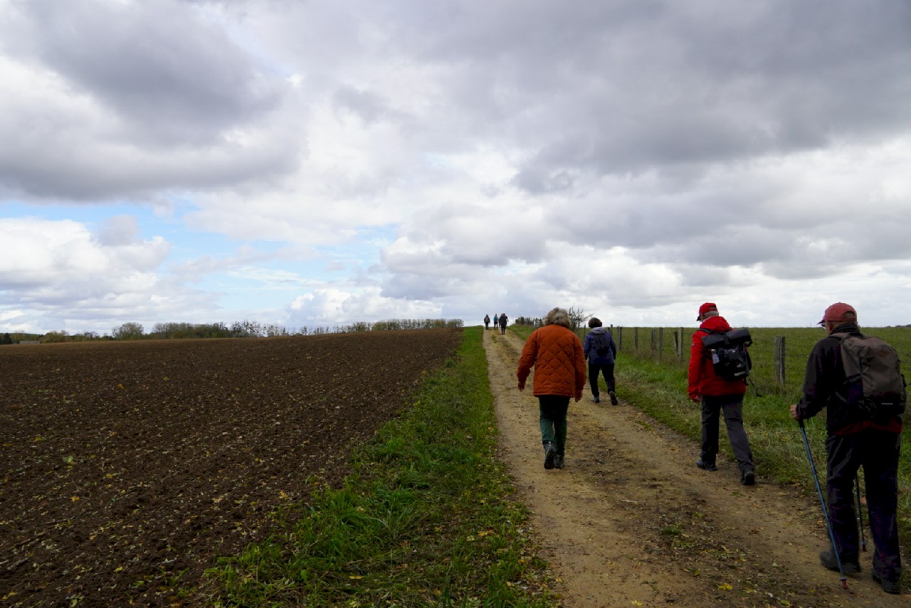 Channay/Lathan .Balade FFRando 24 Octobre