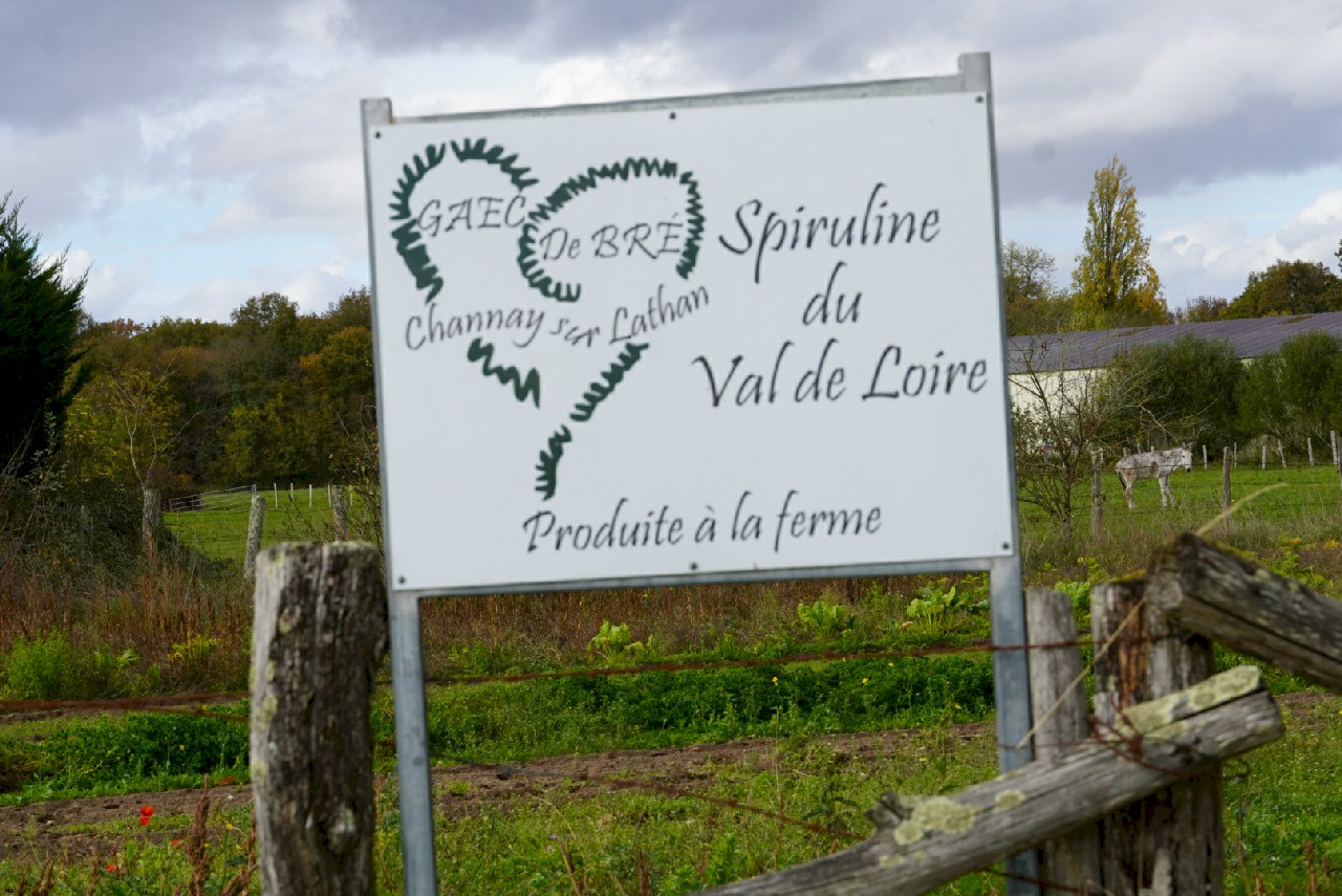 Channay/Lathan .Balade FFRando 24 Octobre