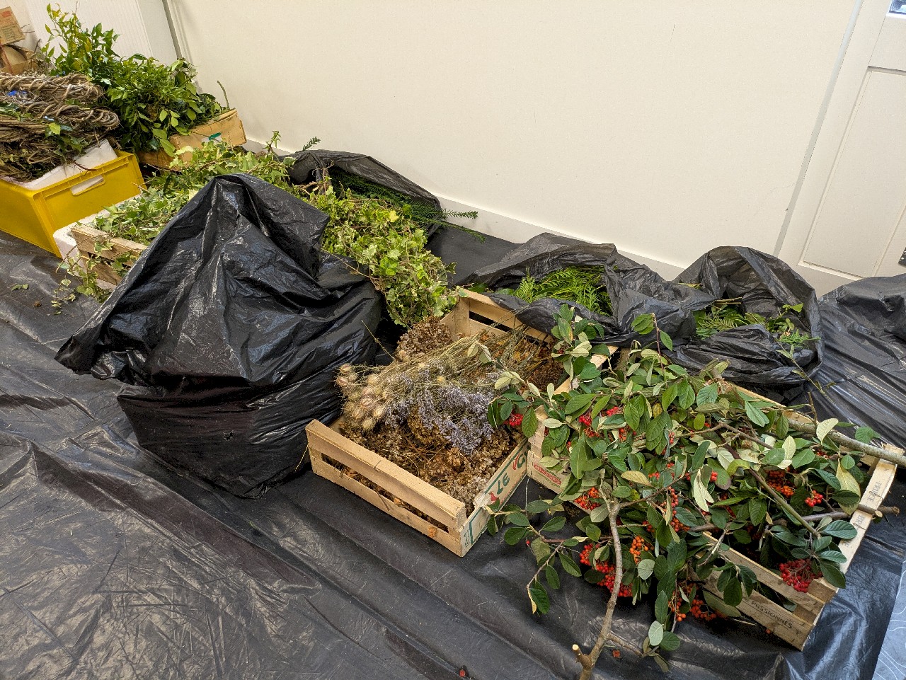 PXL_20251206_091442188