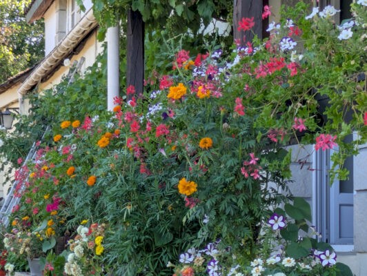 Reignac7juillet14
