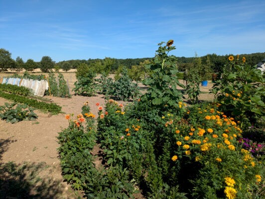 Reignac7juillet16