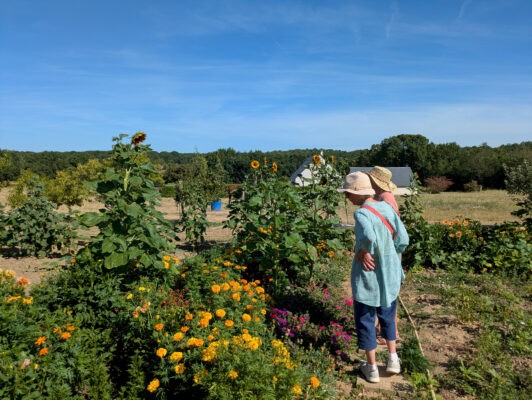 Reignac7juillet17
