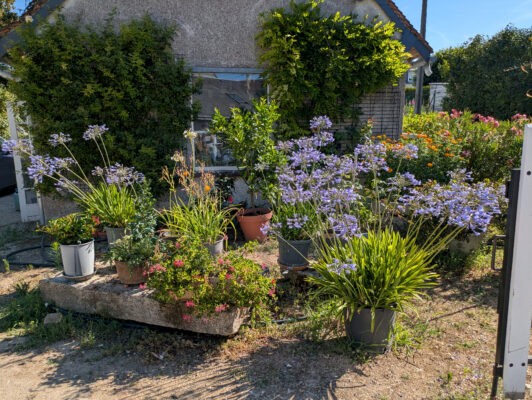 Reignac7juillet22