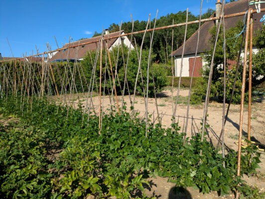 Reignac7juillet36