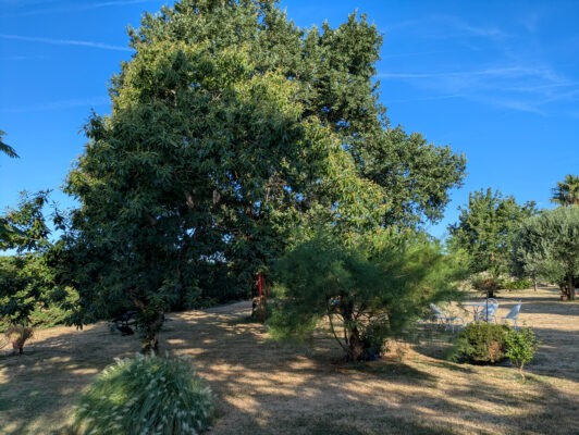 Reignac7juillet50