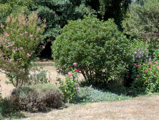artannes27juillet5