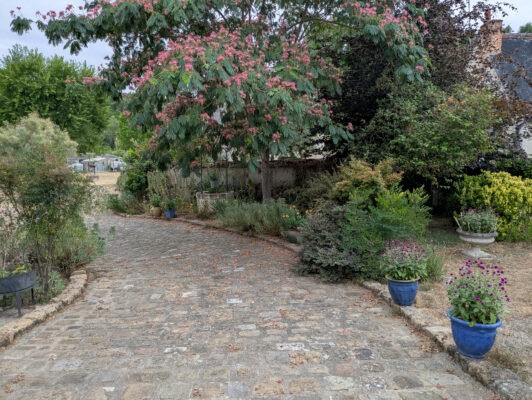 saché27juillet6