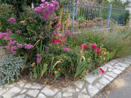 saché27juillet7